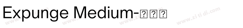 Expunge Medium字体转换
